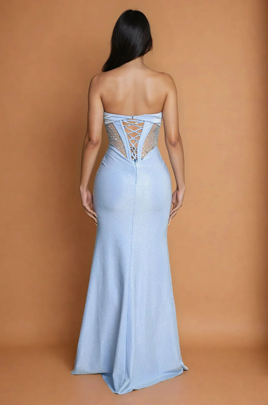 Paris Corset Dress